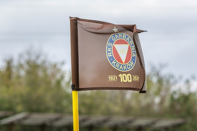 比赛进入第 比赛进入第