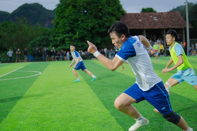 科爾教練 科爾教練