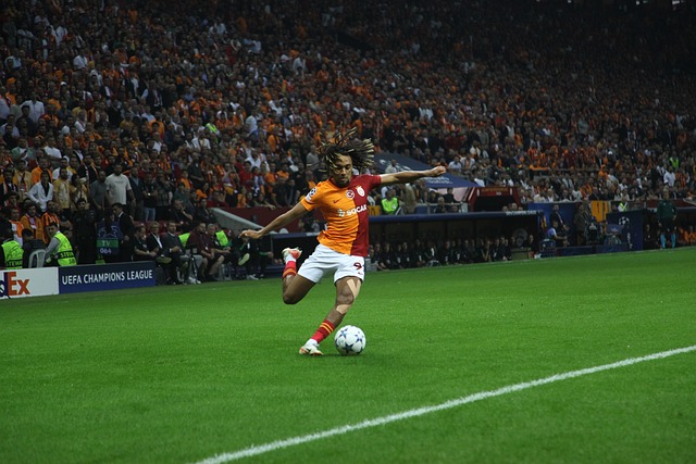 轮最佳阵容 轮最佳阵容