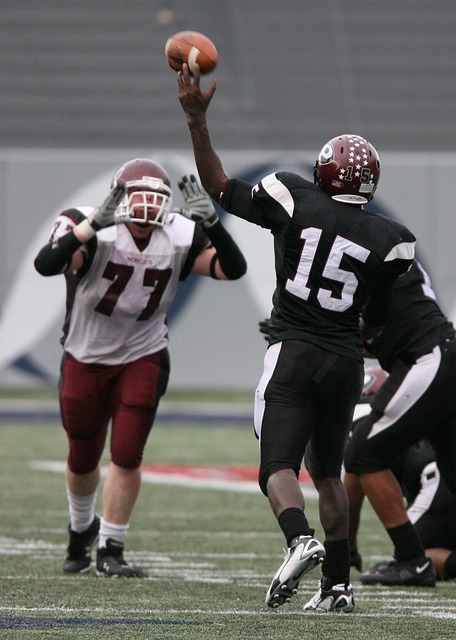 迷为之倾倒 迷为之倾倒