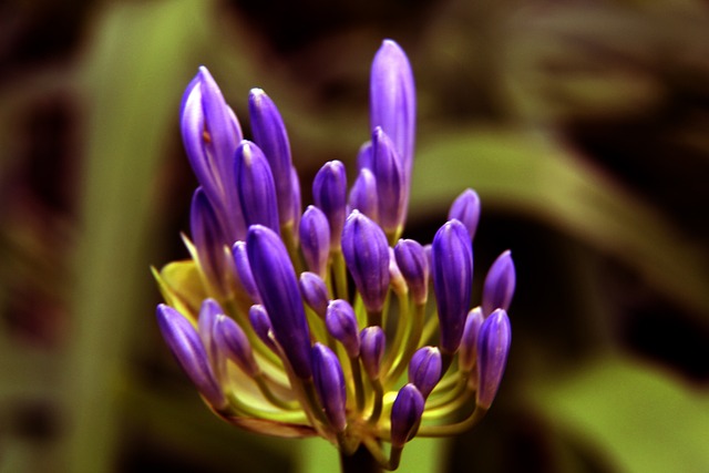 面对强劲对 面对强劲对