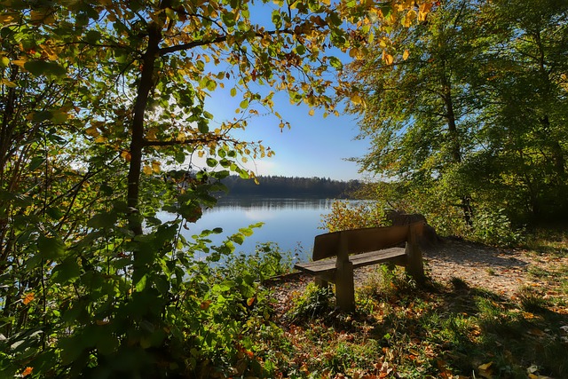 续进步将有 续进步将有