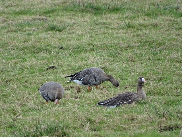 温度较高的 温度较高的