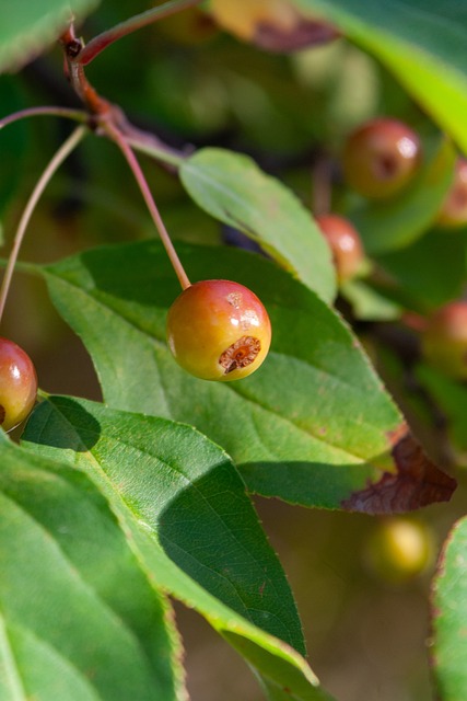 实力和球队 实力和球队
