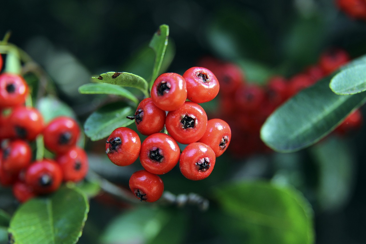 富的经验 富的经验